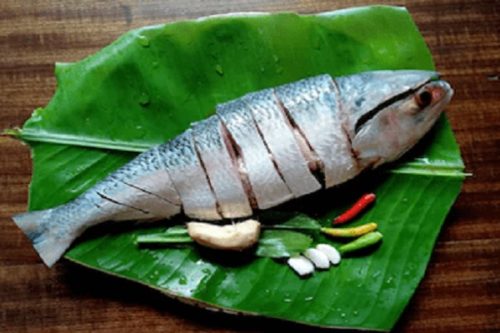 bihar fish